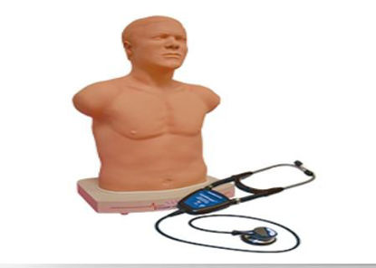 Picture of The Sam Basic718-8830