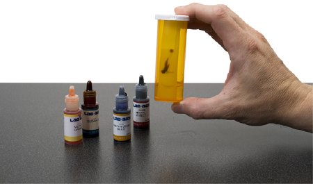 Picture of Student Lab Activity Lab-Aids™ Thin Layer ChromatographyS19347