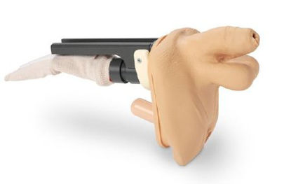 Picture of Replacement Genitalia Complete Advanced Auscultation Life/Form® Geri™ 1.10 lbs.LF04075 N