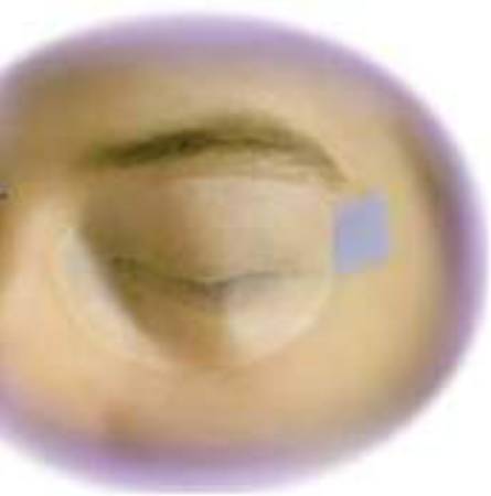 Picture of Eye Protector EyeGard® Adult TabsS2020