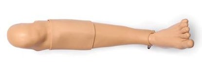 Picture of Adult Leg Laerdal®205-10150