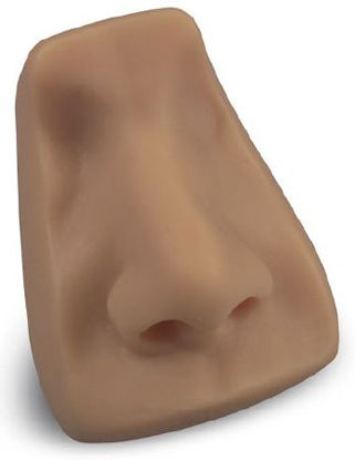 Picture of FACIAL SUTURING, REPLCMNT NOSESKIN LIFE/FORMLF01046 A