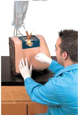 Picture of Spinal Injection Simulator Life/Form®LF01036