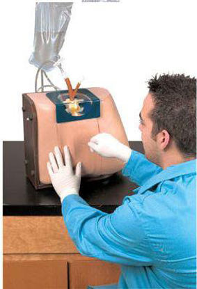 Picture of Spinal Injection Simulator Life/Form®LF01036