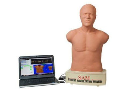 Picture of Student Auscultation Manikin Model SAM II718-8800