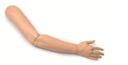 Picture of Arm Assembly, Right Plain, Adult Male  Laerdal® Male Adult300-05150