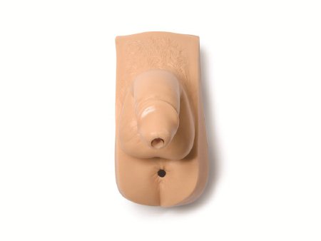 Picture of Replacement Male Genitalia Adult325-03250