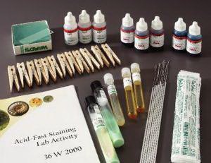 Picture of Acid Fast Staining Lab Activity Kit36V2000