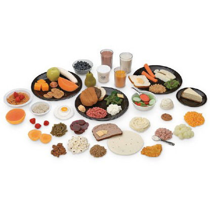 Picture of Great Food Replica Kit Life/Form®WA24485