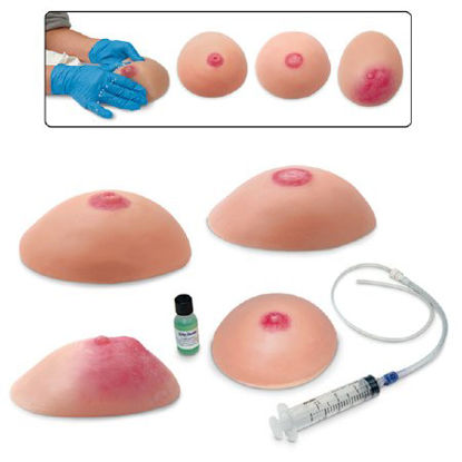 Picture of Breast Self-Examination Model Set Life/Form® Female AdultLF00864