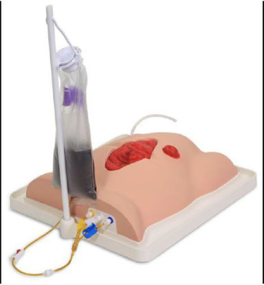 Picture of Fistula Skills Trainer Freddie Fistula™ 10 lbs.SB51931