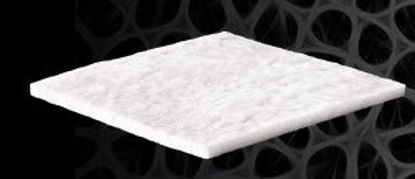 Picture of Dural Regeneration Matrix DuraGen® Plus Collagen 1 X 1 InchDP1011