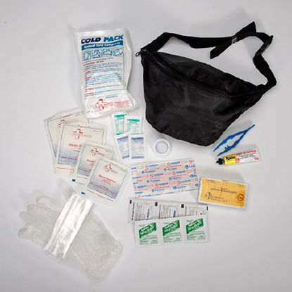 Picture of Travel First Aid Kit Fanny Pack640-751