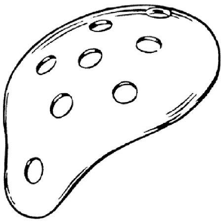 Picture of Eye Protector Fox Adult96-1071