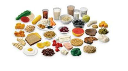 Picture of MyPlate Food Kit Life/Form®WA29168