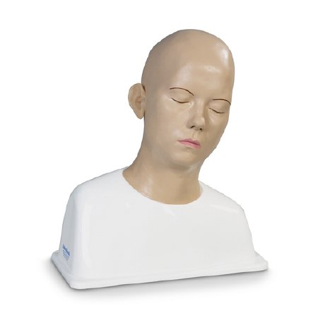 Picture of Ear Syringing Trainer Manikin Adam Rouilly LTD 4.75 lbs.SB38893