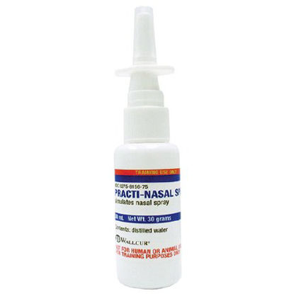 Picture of Clinical Training Medication Practi-Nasal Spray™ 30 mL Bottle Distilled Water Liquid1202NS