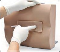 Picture of Lumbar Puncture Trainer Gaumard® 4.5 lbs. ImportedSB50854