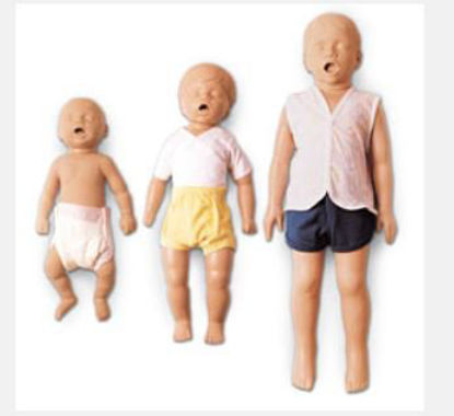 Picture of Resucee Billy 6_9 Month Old Male 12 lbs.149-1352