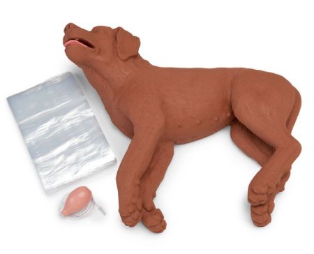 Picture of CPR Dog Simulaids®100-5000