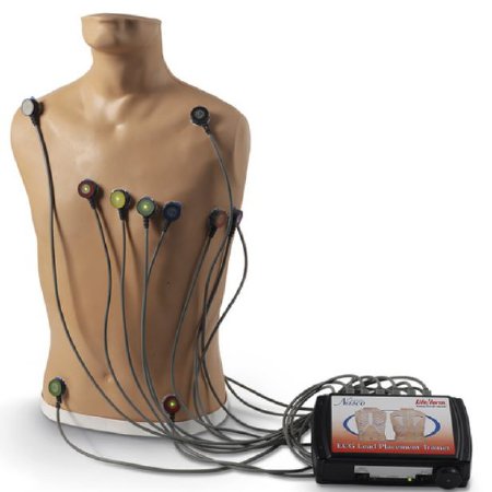Picture of 15-Lead ECG Placement Trainer Life/Form® 24 lbs.LF01300