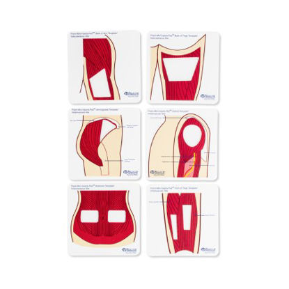 Picture of Anatomical Templates Practi-Mini Anatomical Templates™ 5 X 5 Inch577MT