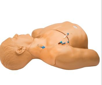 Picture of Central Line Training Model Gen IIBPH660