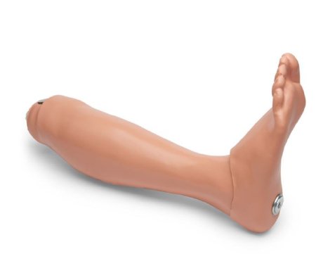 Picture of Replacement Lower Right Leg/Foot Simulaids®149-1357R