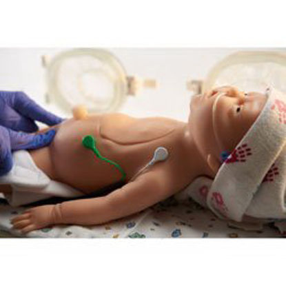 Picture of Resuscitation Simulator Life/Form® Neonatal 14 lbs.LF01421