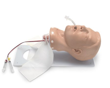 Picture of Airway Management Trainer Simulaids®101-502