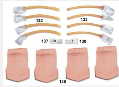 Picture of Adult Replacement Trachea101-137