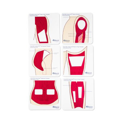 Picture of Anatomical Templates Practi-Anatomical Templates™555CT