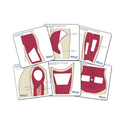 Picture of Anatomical Templates The Practi-Student Anatomical Templates™560ST