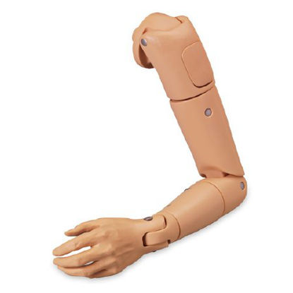 Picture of Complete Geriatric Arm Replacement Life/Form®LF04092 N