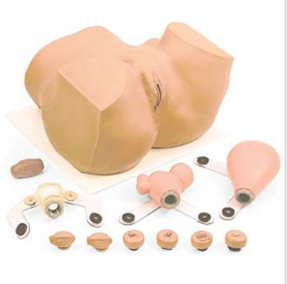 Picture of Eva GYN Manikin Female Vinyl160-1906