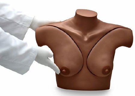 Picture of Breast Self-Examination Simulator and CD Gaumard®SB32869