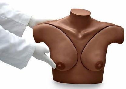 Picture of Breast Self-Examination Simulator and CD Gaumard®SB32869