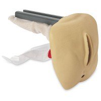 Picture of Replacement Female Genitalia Life/Form® GERi™/KERi™ Complete, Advanced, and AuscultationLF04076 N