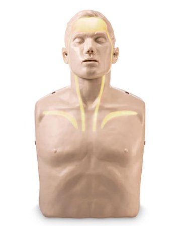 Picture of CPR Training Manikin Brayden AdultSB50941