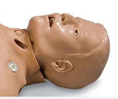 Picture of Smart Stat w/Options101-8001