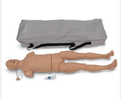 Picture of Adult Trainer Adult 51 lbs.101-086FB