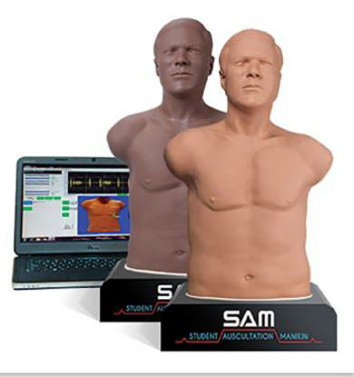 Picture of Student Auscultation Manikin Sam 3G Male718-9011