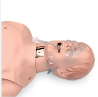 Picture of Critical Airway Trainer 21 lbs.101-060