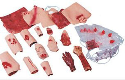 Picture of Trauma Moulage Kit800-6701 B