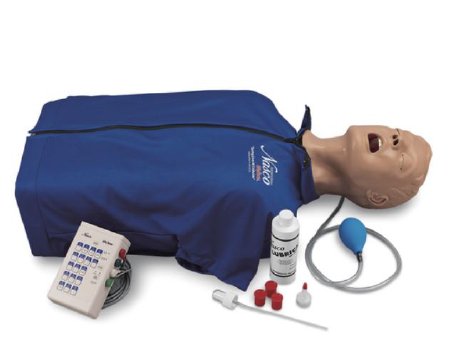 Picture of Torso Manikin Life/Form®LF03958