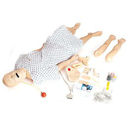 Picture of Manikin Carrying Case381655