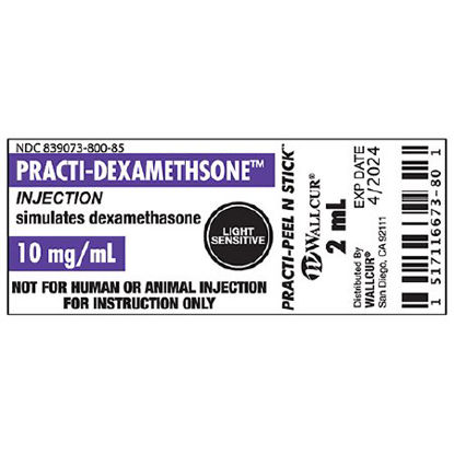 Picture of Training Medication Peel-N-Stick Labels Practi-Dexamethasone™9925DXM