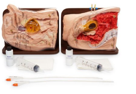 Picture of Cath-Ed 1 and Cath-Ed 2 Simulators Life/Form®LF01029