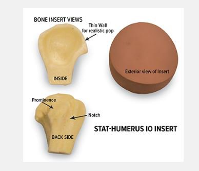 Picture of Humerus Intraosseous Insert101-8011