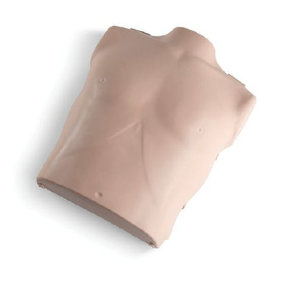 Picture of Replacement Manikin Torso Prestan®RPP-CBODY-1-MS